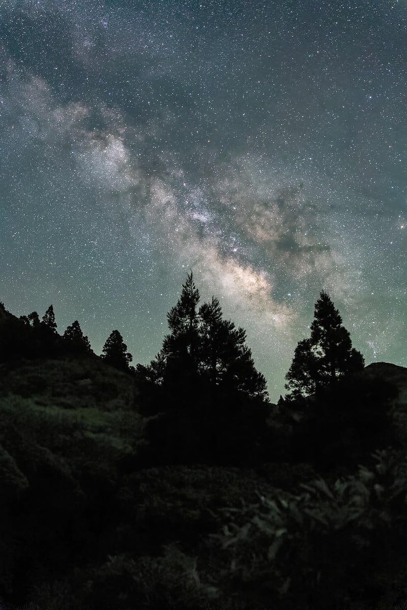 Celestial Decor Image